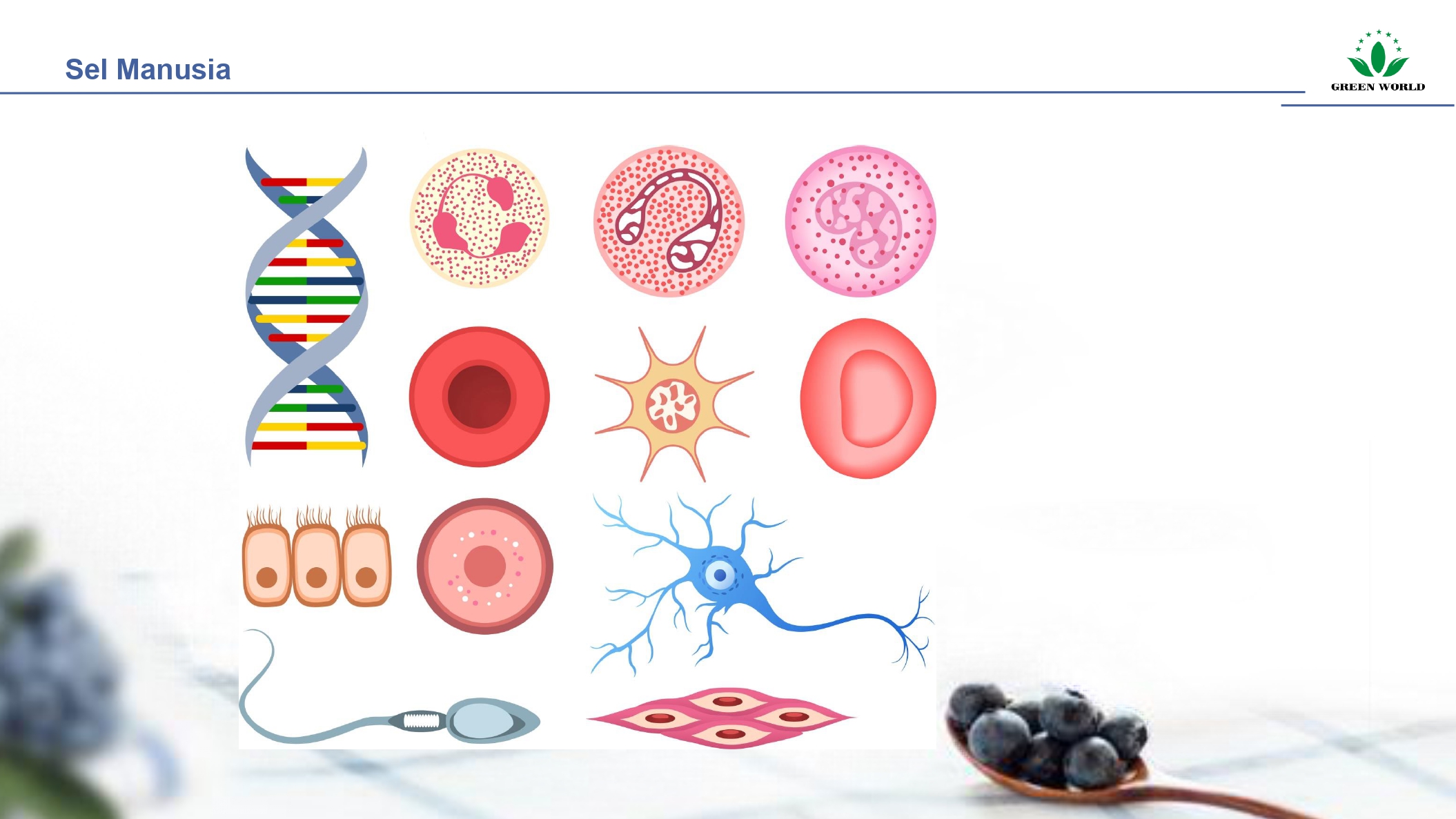 Education content image